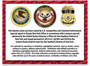 Prominent US legislator applauds seizure of websites by customs